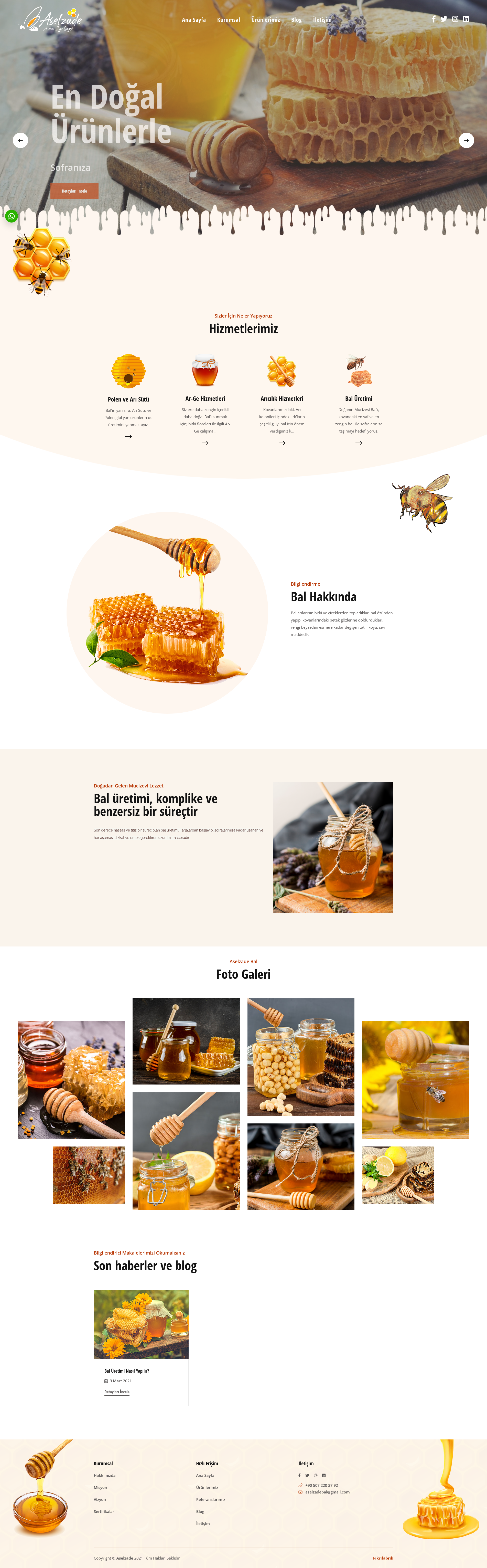 Portfolio Images
