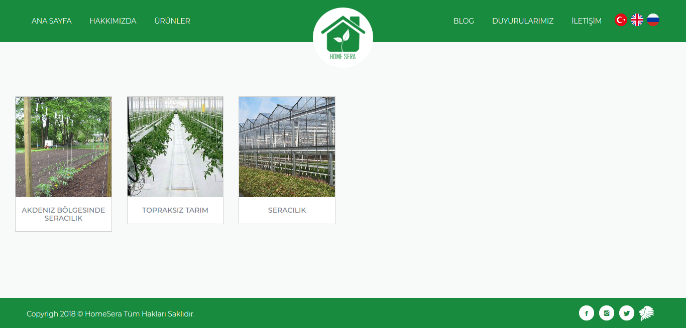 Portfolio Images