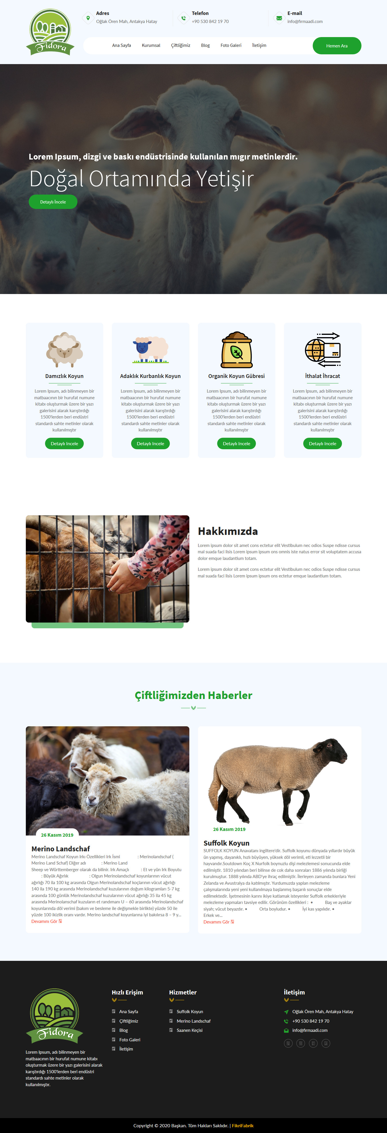 Portfolio Images