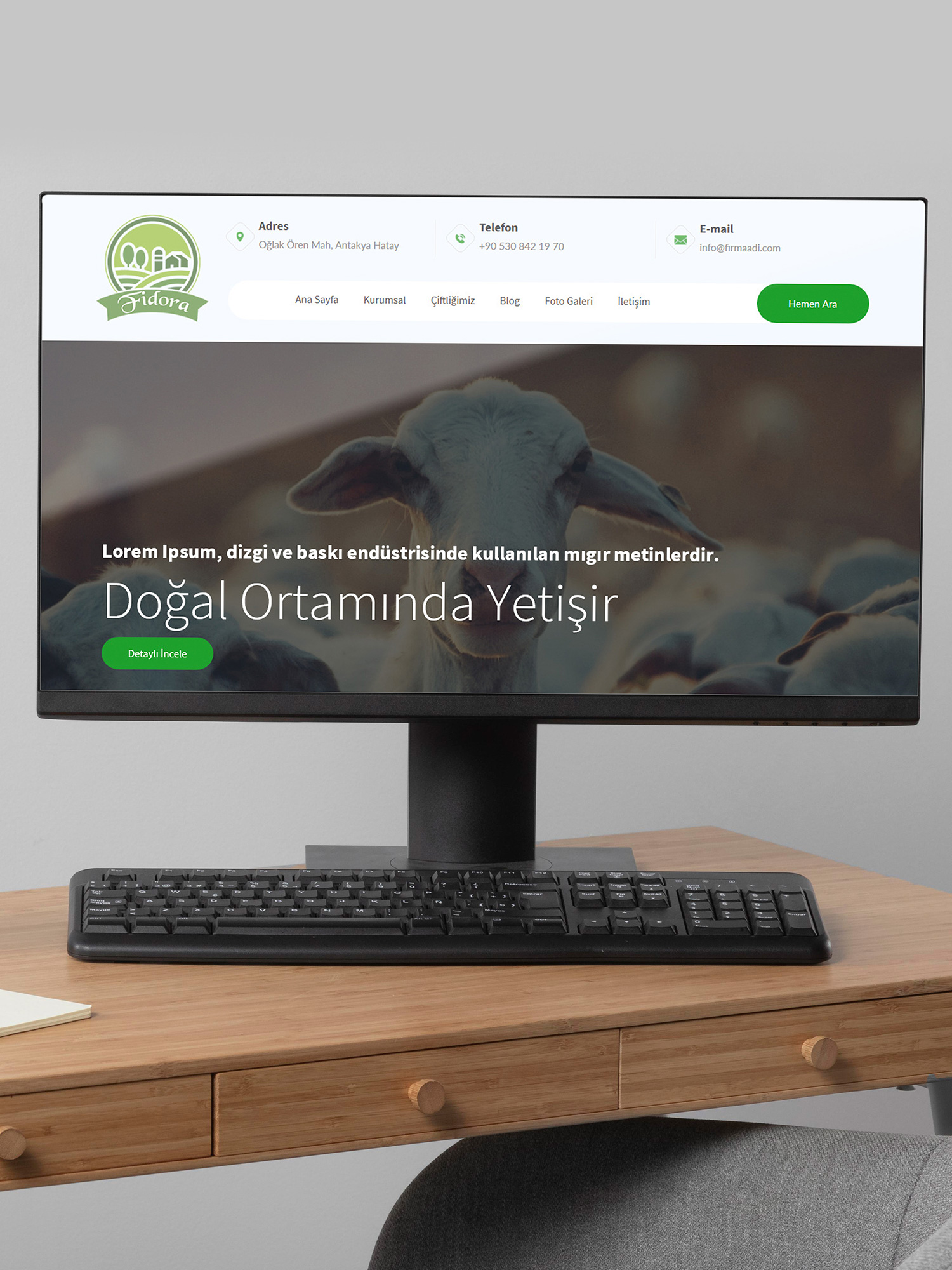 Fidora Tarım