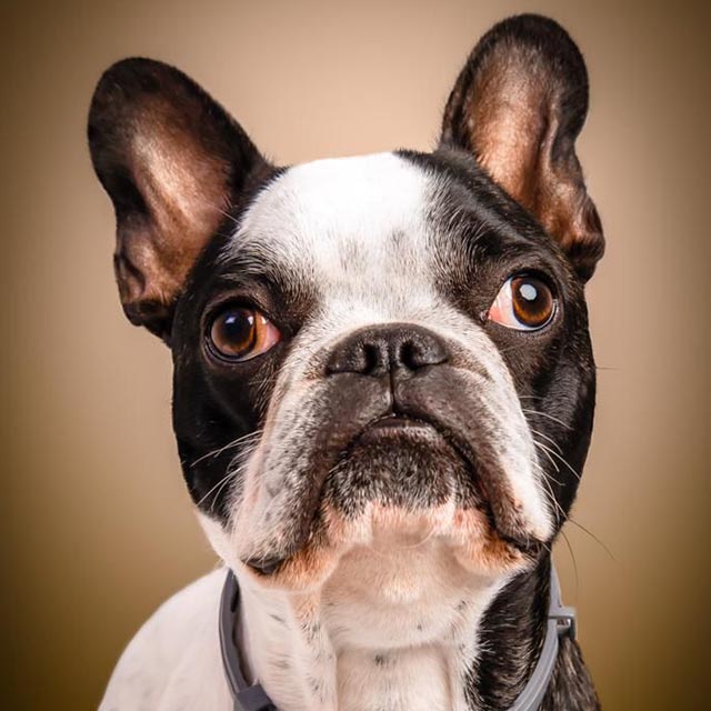 Pablo